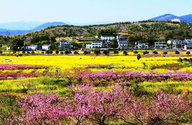 【周末自驾】2018-03-24花开春色—桐庐阳山畈 富春桃源自驾2日游