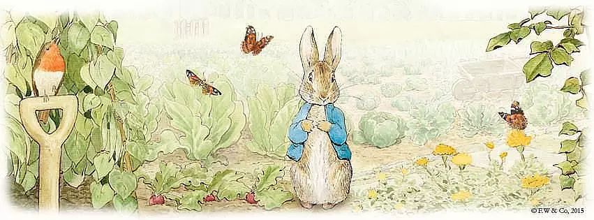 Peter Rabbit and Mr. McGregor: A Tale of Garden Harmony