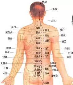 每天捏脊10分钟,经络通了,脊椎腰椎不疼了!