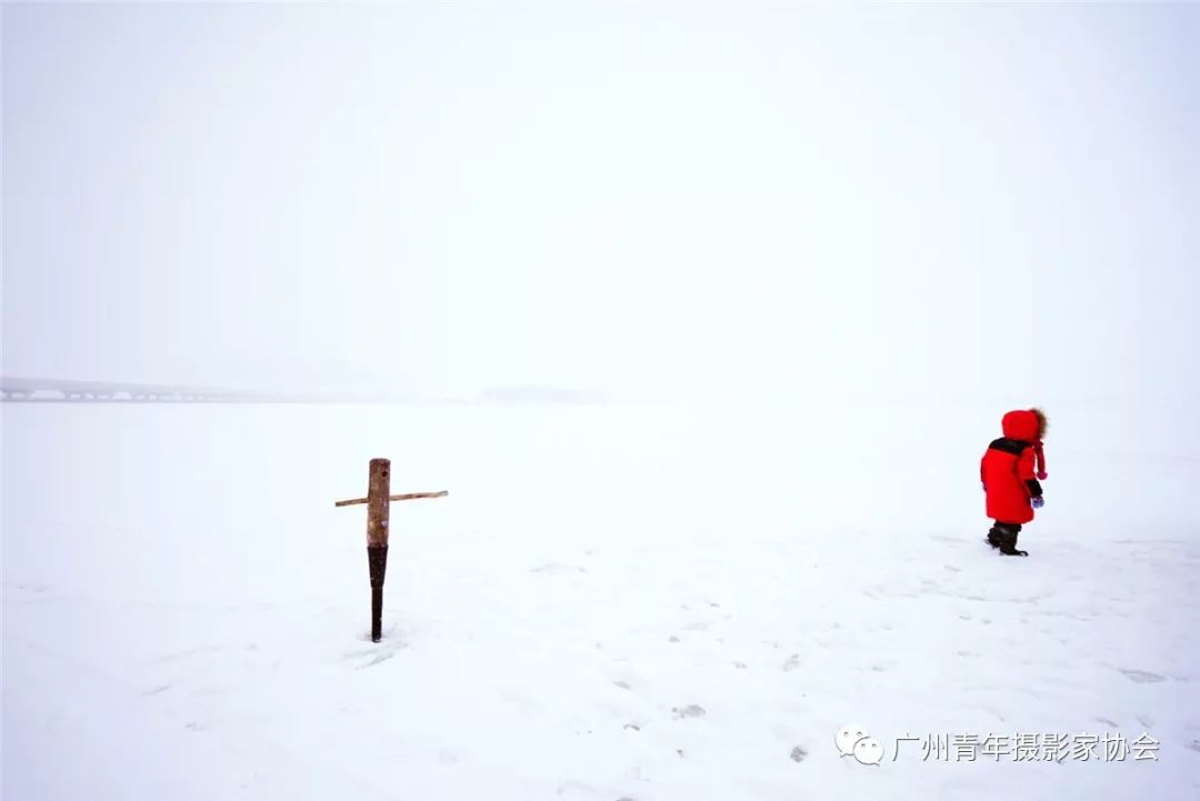 青年摄影人物|美女十杰摄影家——王嘉亮