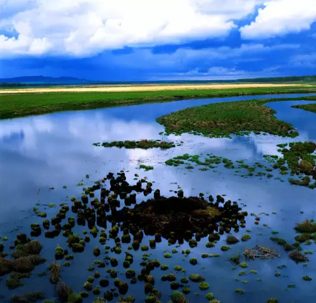 六大沼泽湿地