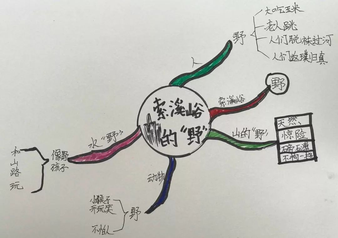 【博士后伴你学】大连寒假思维导图训练营-作业汇总