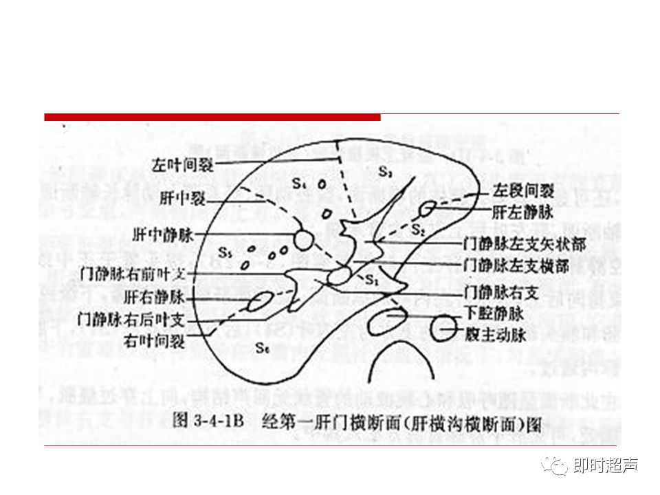 肝脏解剖及超声表现