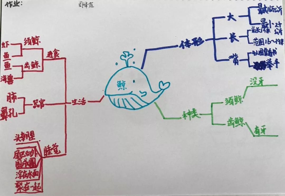 【博士后伴你学】大连寒假思维导图训练营-作业汇总