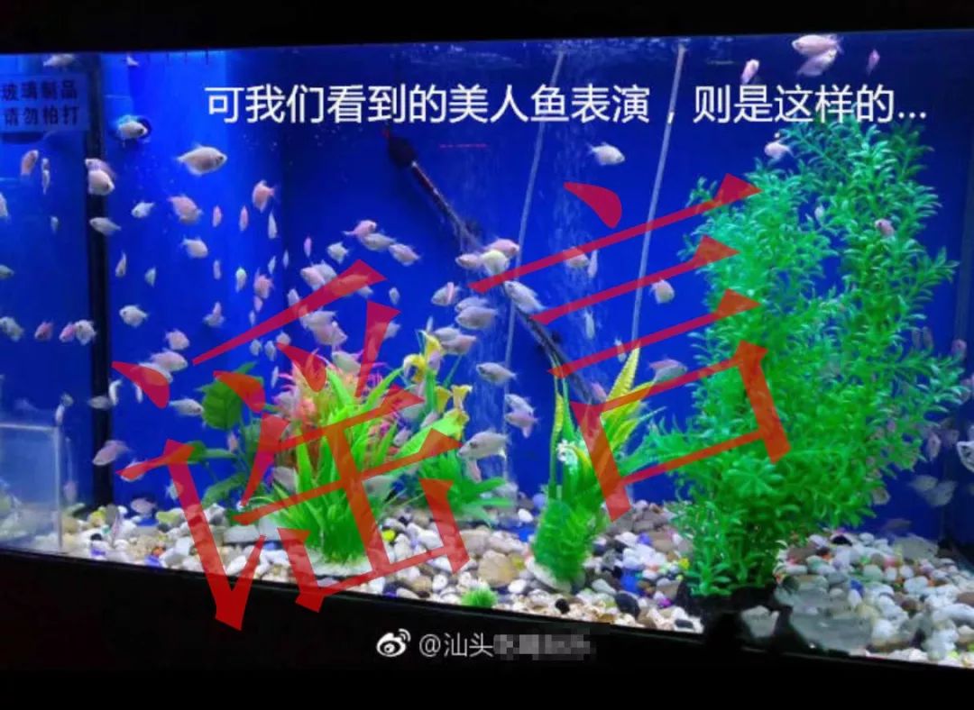 年度最大笑话你们看到的汕头海洋馆其实是这样的