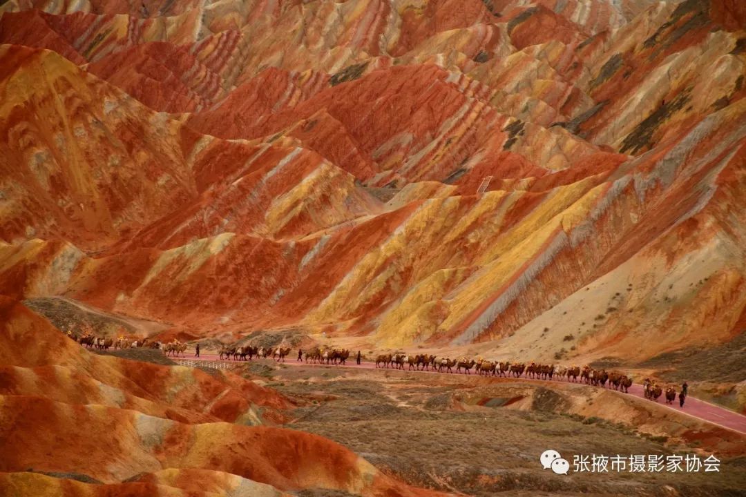 "多彩张掖 美丽甘州"全国摄影大展成果展播(丹霞篇)