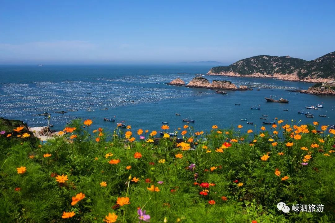 春海水暖花渐开于嵊泗六座海岛遇见海上花开