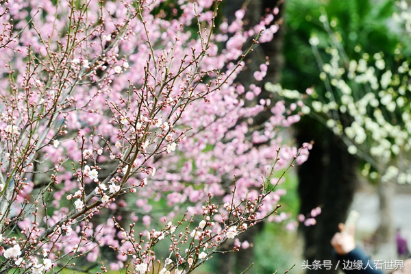 诗人口吐芬芳_人口普查(2)