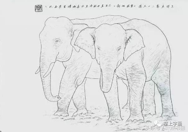 大象画法图解