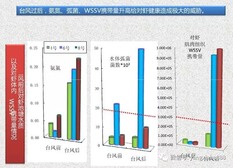 2018死亡人口_中国人口自然增长率难有起色 2018 年出生人口规模不乐观(2)