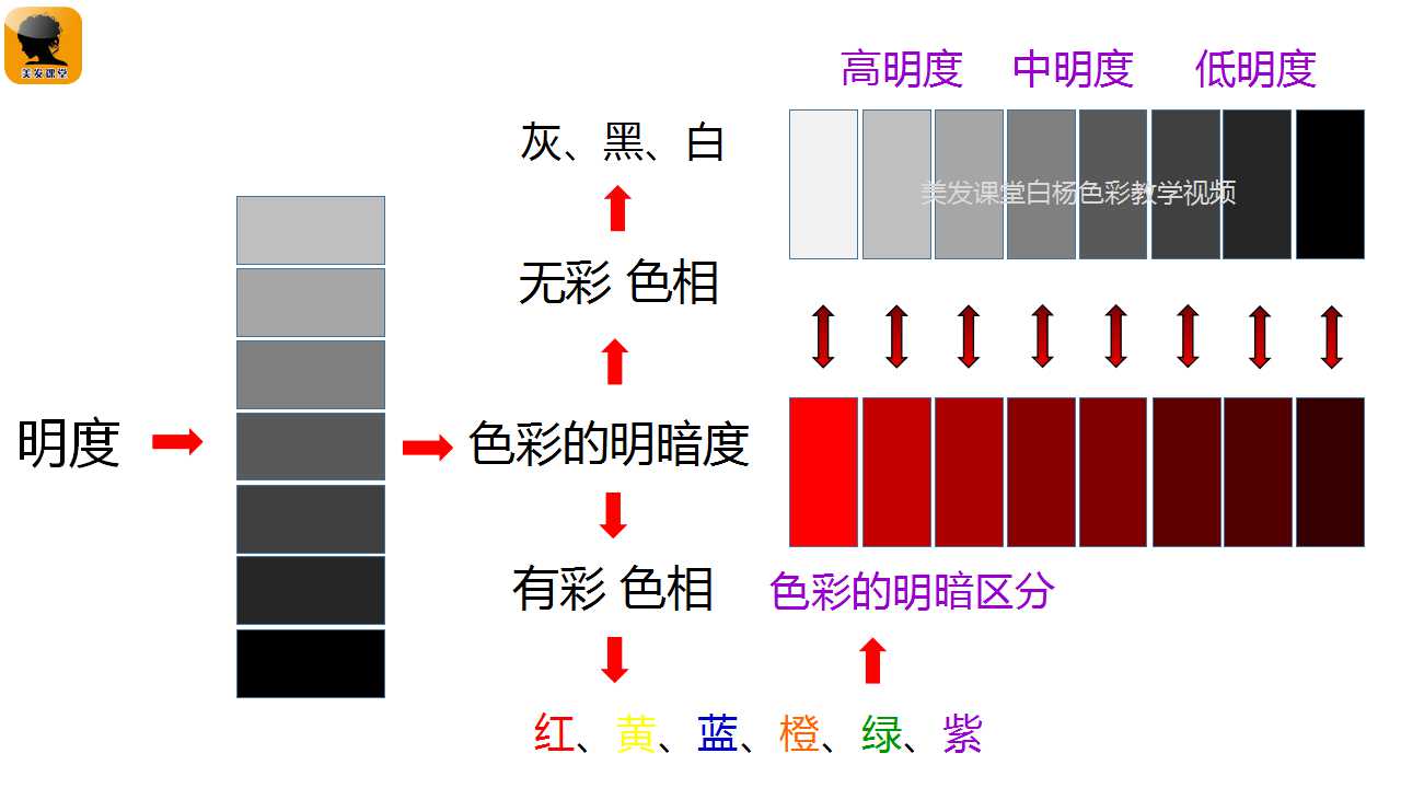 2018美发课堂白杨色相明度纯度与调色的关系视频讲学