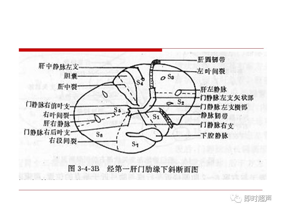 肝脏解剖及超声表现