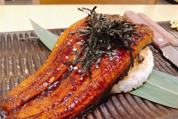 江城顶级鳗鱼料理寻味地图