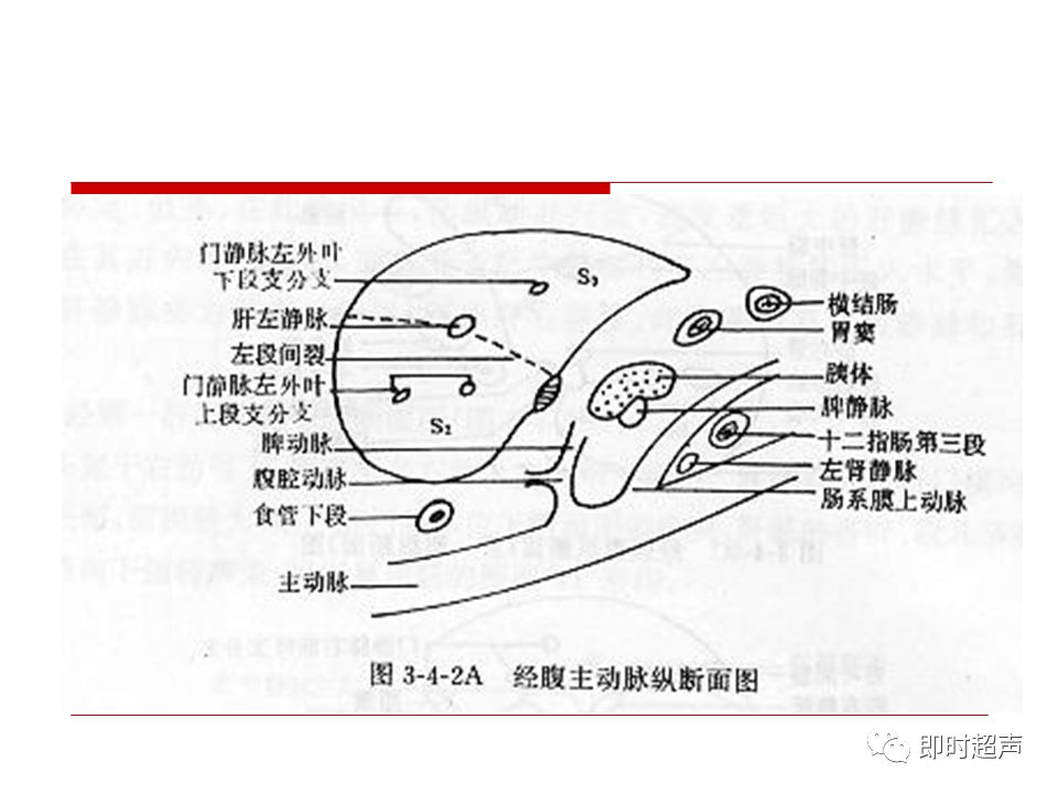 肝脏解剖及超声表现