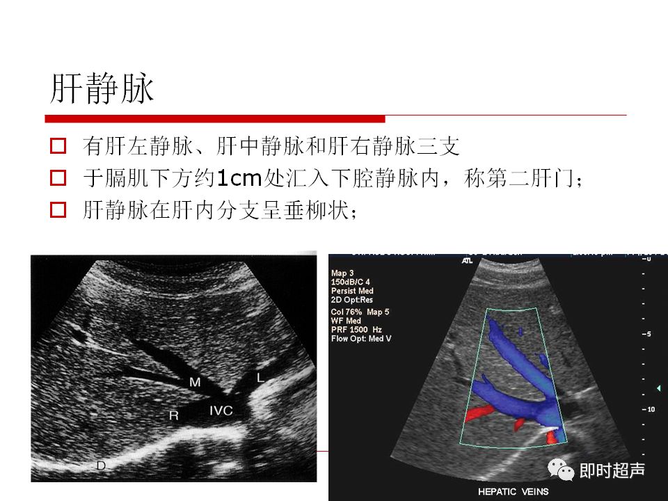 肝脏解剖及超声表现