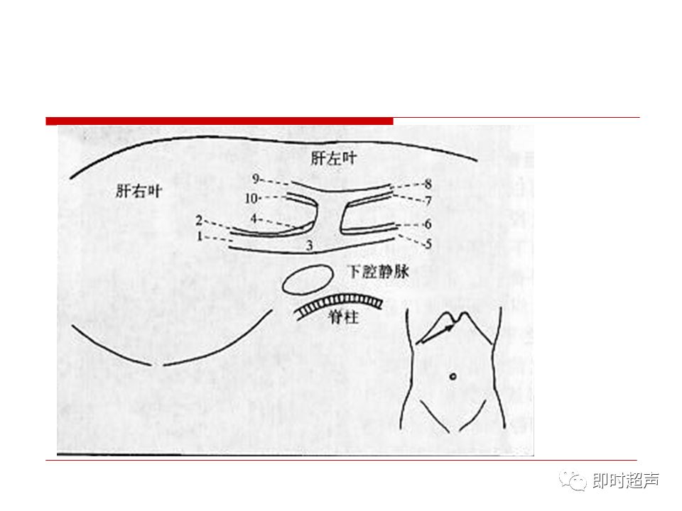 肝脏解剖及超声表现