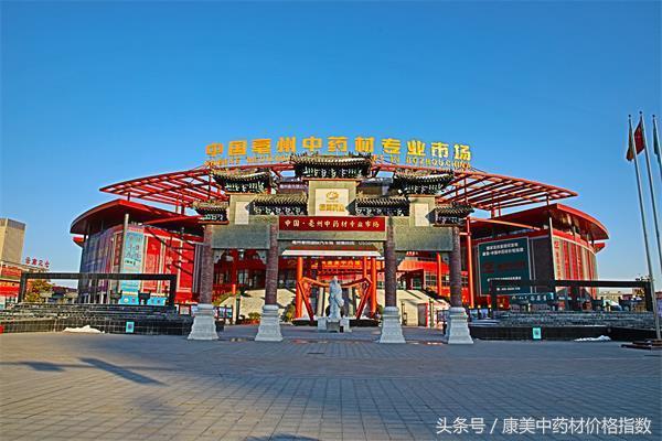 01.中国亳州中药材专业市场