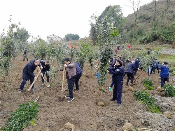 乐山镇人口_乐山沙湾福禄镇照片