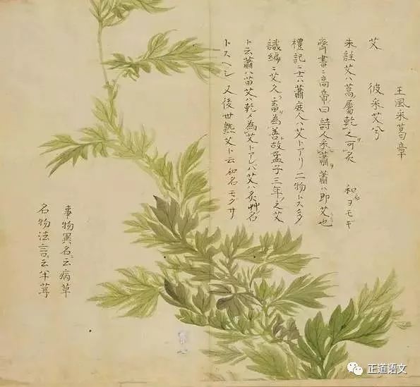 一日不见如三秋简谱_一日不见如三秋 望海高歌 单曲 网易云音乐