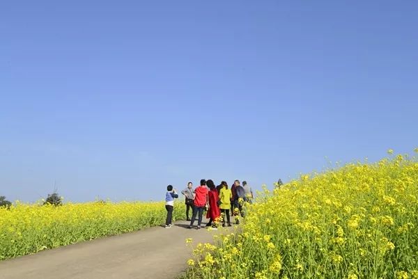 白头镇人口_白头偕老图片