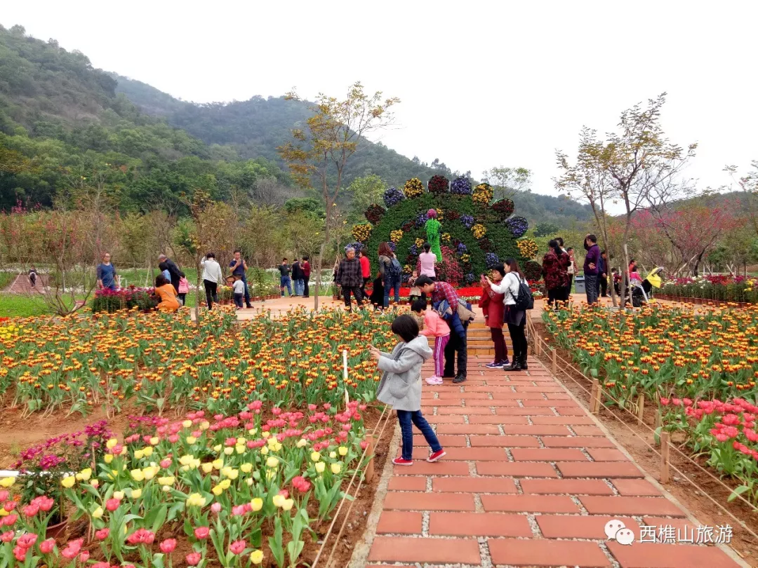 其它 正文  地址:西樵环山花海 交通指引: 自驾:自驾人士定位"西樵山