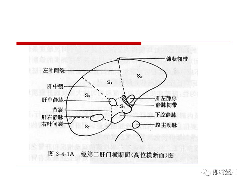 肝脏解剖及超声表现