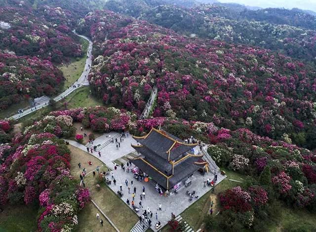 住:黔西·四星级酒店 景:百里杜鹃 d7:黔西-织金洞-黄果树 | 210km