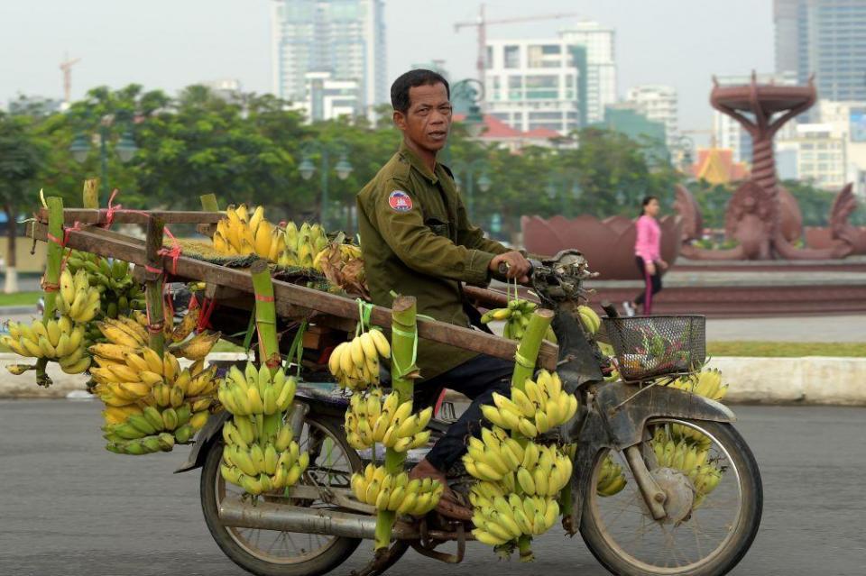 2018年1月23日,柬埔寨金边,一名男子骑着摩托车载着香蕉走在街头.