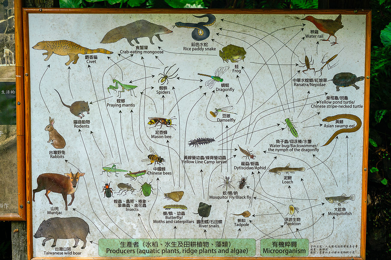 农场有自己的地图简介,还有生态体系简图,非常规范成熟的生态农场