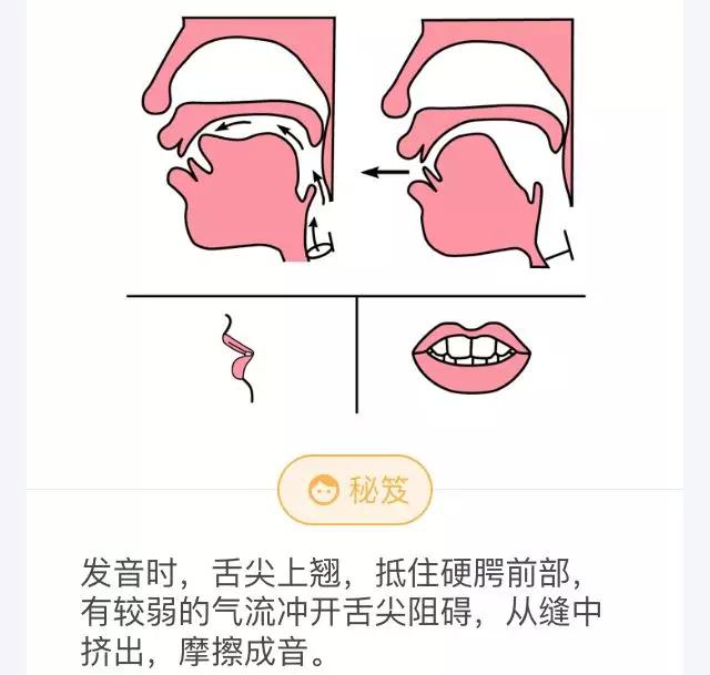 两者正确发音如下图所示