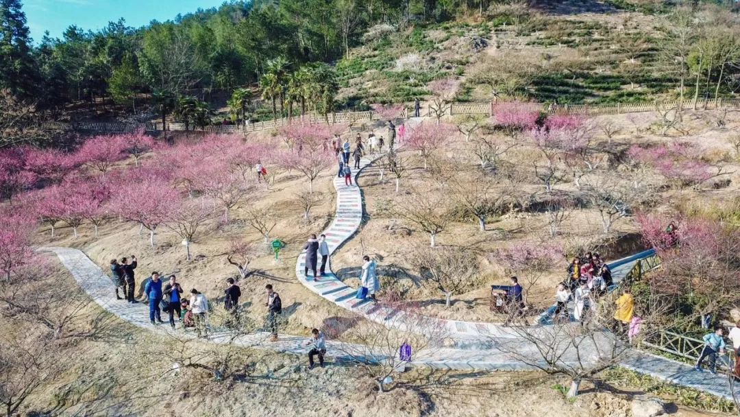 原来萧山是个大花园!2018全新赏花地图出炉~周末走起!