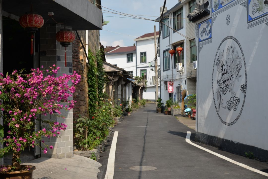 街头巷道,绿意盎然(陇东村)