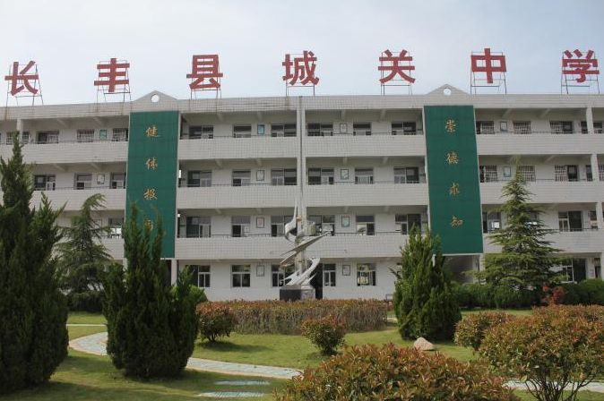 安徽省长丰县城关中学创建于1998年,学校位于县城的西南角,是全县规模