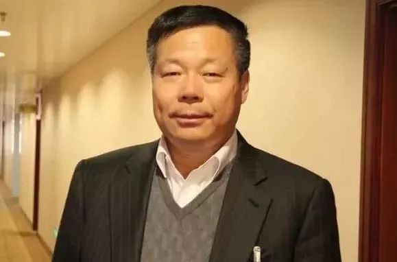 杨铿董事长_蓝光集团杨铿老婆照片(2)