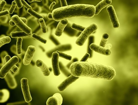 生命新知·情报丨粪菌移植:口服胶囊或可行