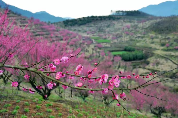 诸暨东和人口_诸暨东和乡十里坪景区(3)