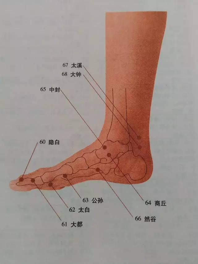 【健康】全身穴位图解,一定要收藏!