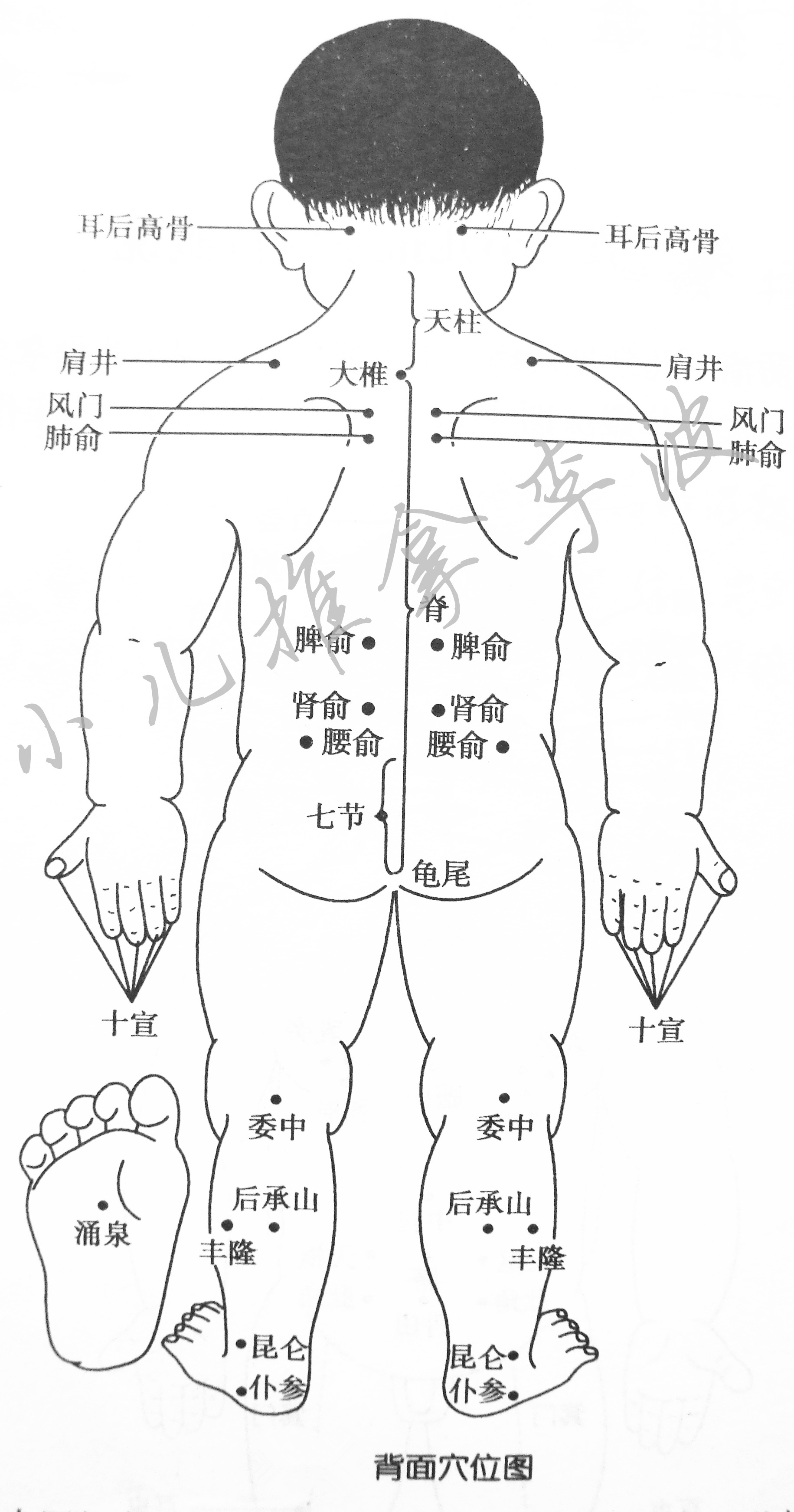 济南小儿推拿培训李波老师与大家分享小儿推拿常用穴位图