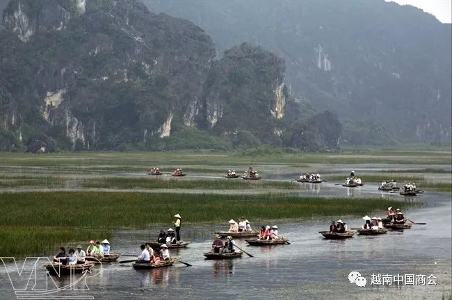 越南宁平省成为越南热门旅游地图片