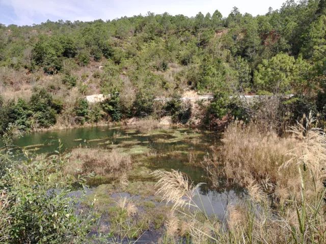 建水大山水库一段水域的滥觞