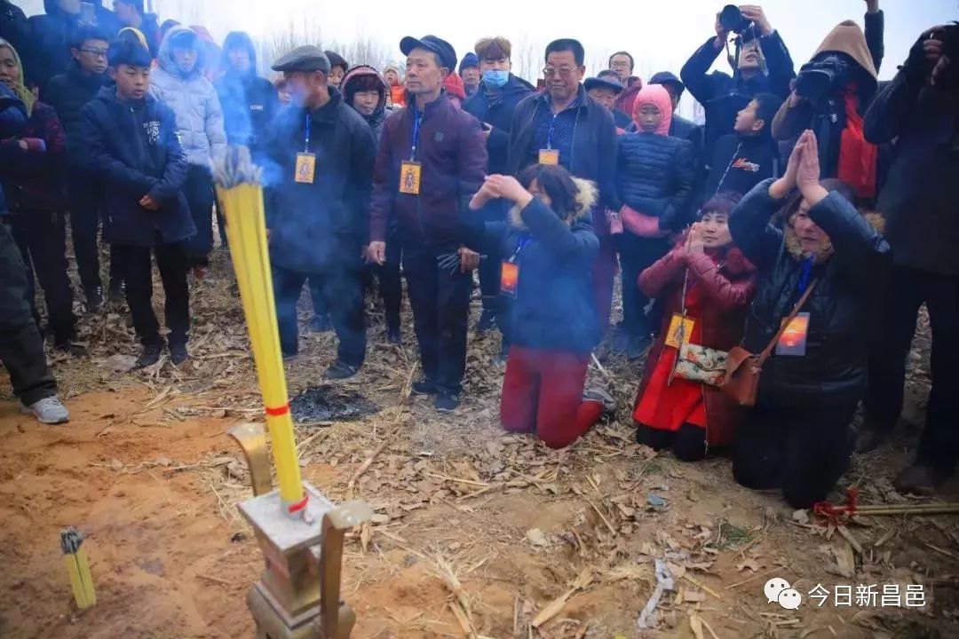 昌邑金台村总人口_昌邑一中图片