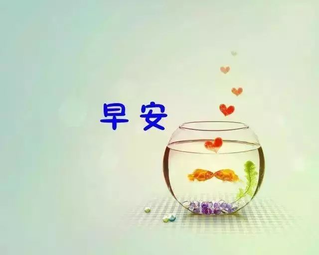 早安语录图片 早安语录分享