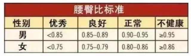 一般腰臀比在0.7-0.