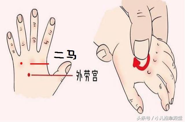 4,揉二马5分钟肾为先天之本,揉二马扶元固本,大补元气.