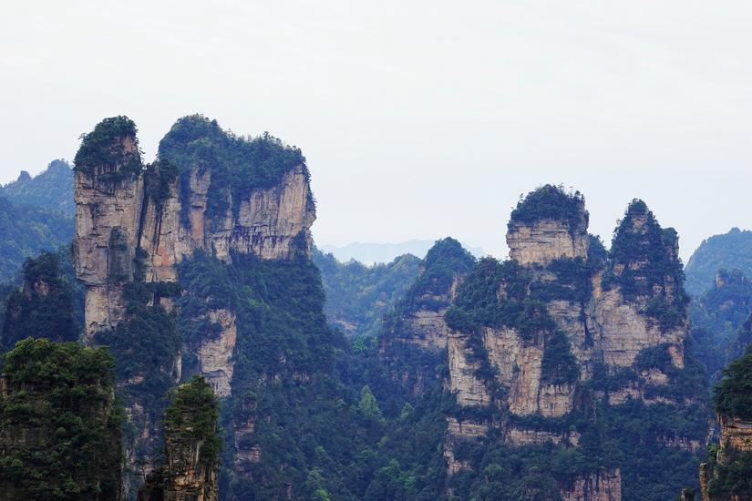 张家界旅游导游