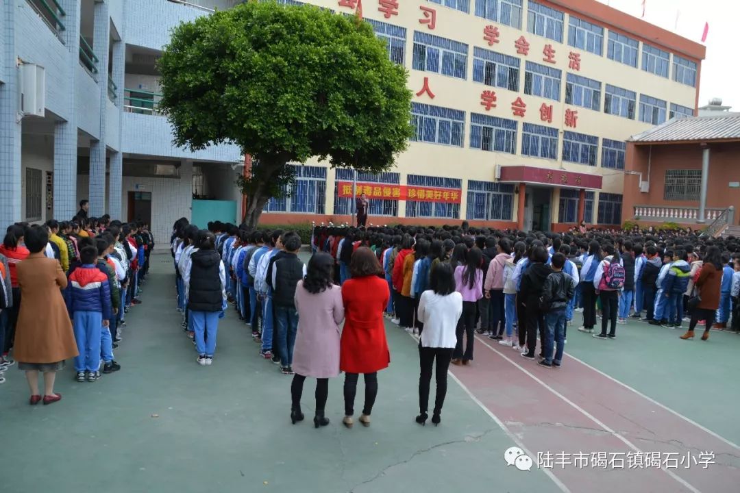 碣石小学举行"抵制毒品侵害,珍惜美好年华"禁毒宣传