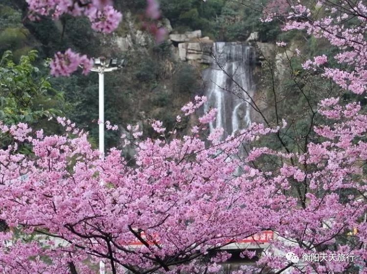 郴州王仙岭高椅岭一日游