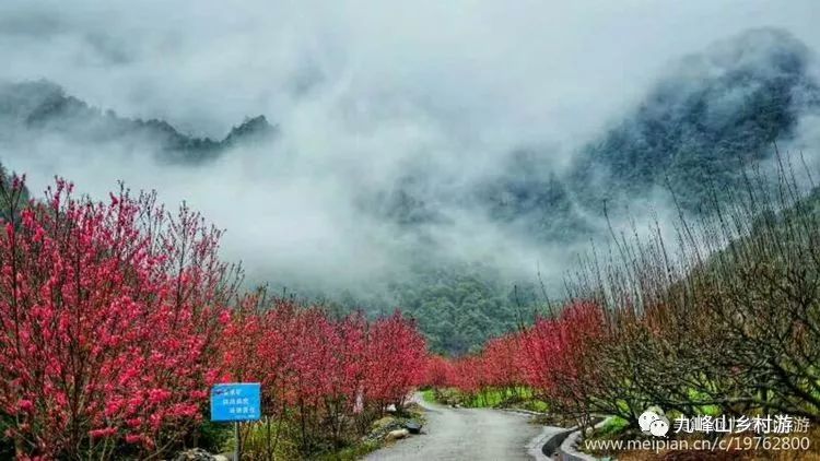 乐昌九峰山 踏青赏桃花 3月漫山花海等你来看!