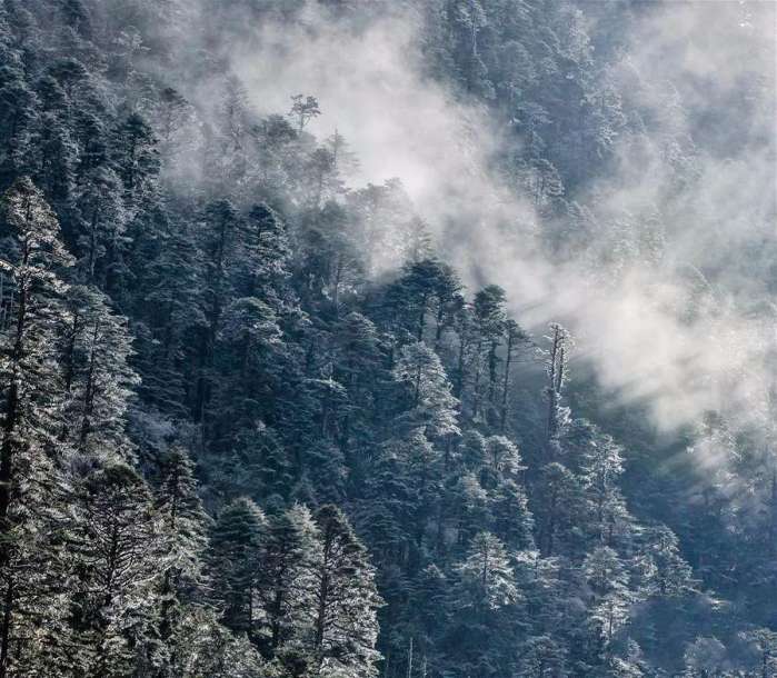 马洪乡人口_马洪乡谢家村