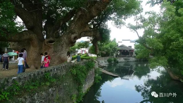 树绕村庄,水满陂塘